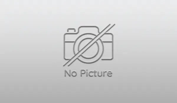 Penyaluran BLT DD Desa jembatan kembar timur